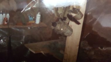 Mitch Winstead - Broker/Medicare Supplement