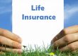 life insurance daisies