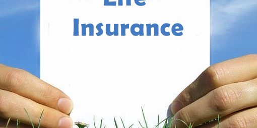 life insurance daisies